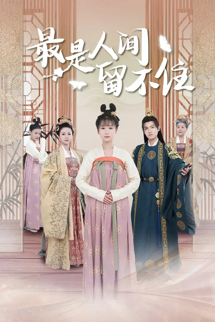 最是人间留不住 海报