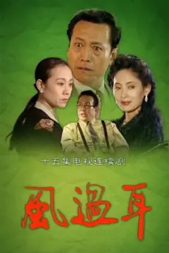 探索记忆迷雾：风过耳这部扣人心弦的悬疑杰作